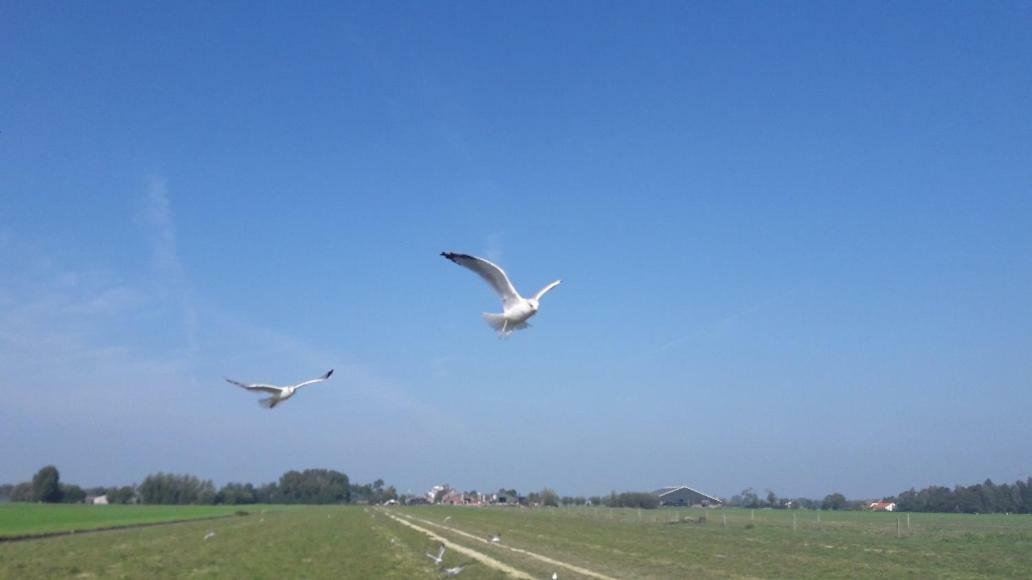 Bedstay41 Oudewater 外观 照片