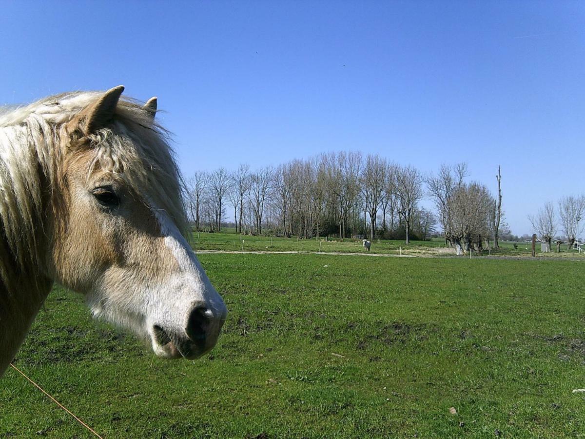 Bedstay41 Oudewater 外观 照片